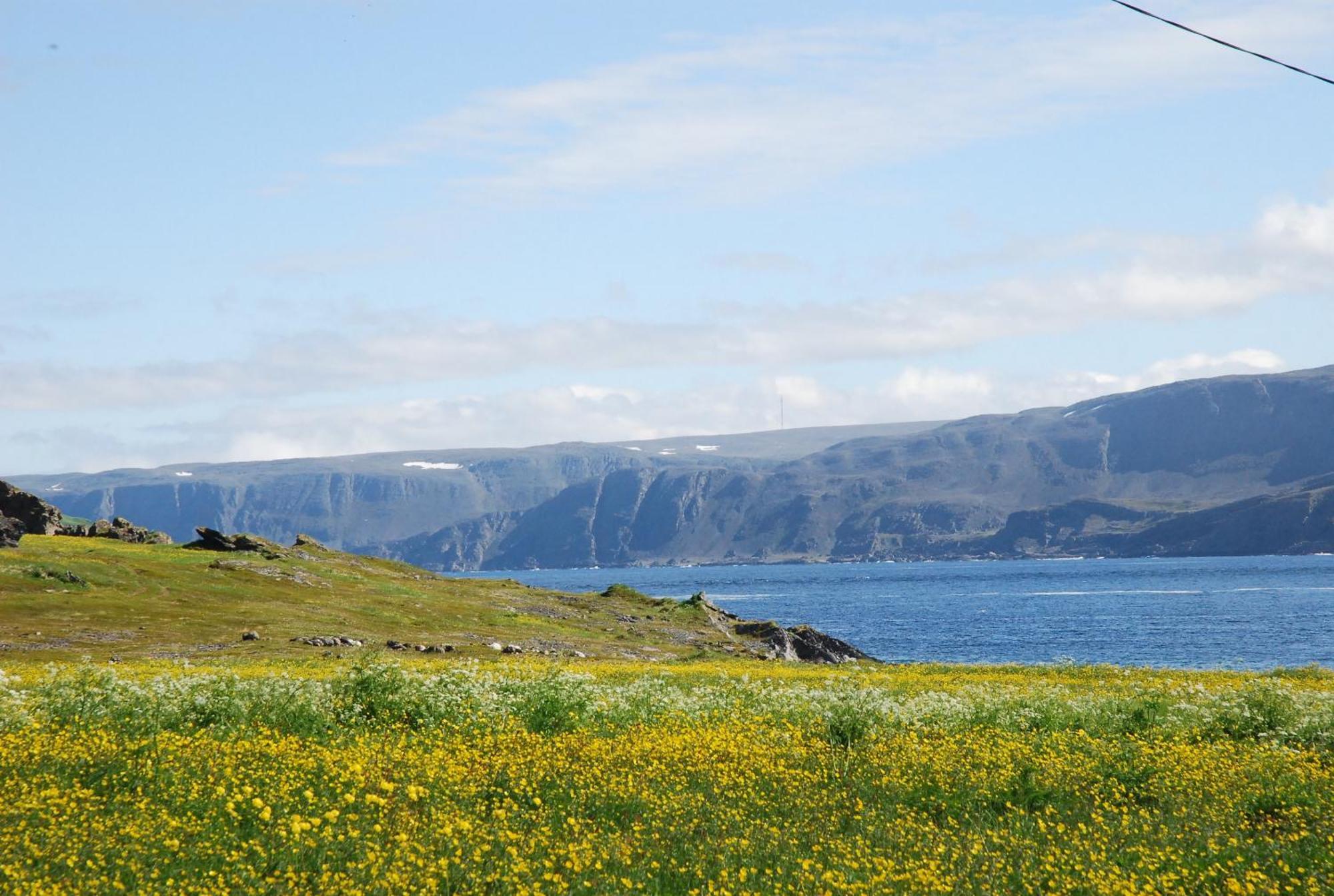 Kongsfjord Holiday Home Esterno foto